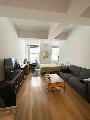 Rented by NY Living Solutions | media 18