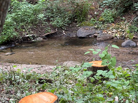 5th image of 1600 Neil Creek Rd