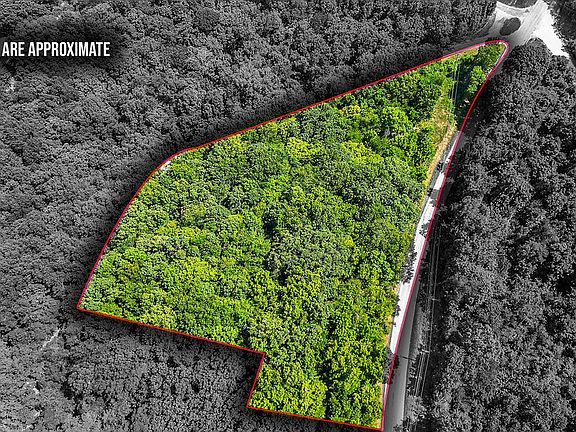 2nd image of War Eagle Blacktop Rd #1