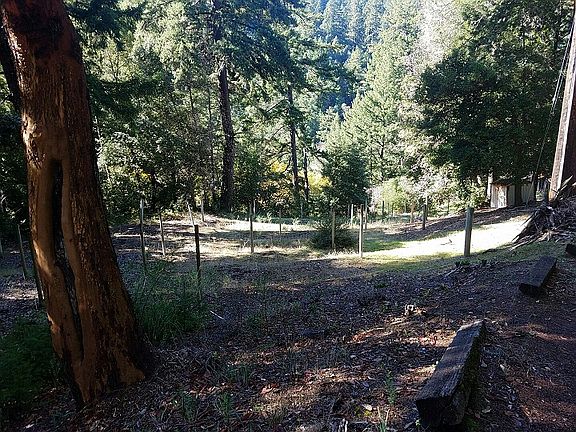 4th image of 12340 Footpath Trl