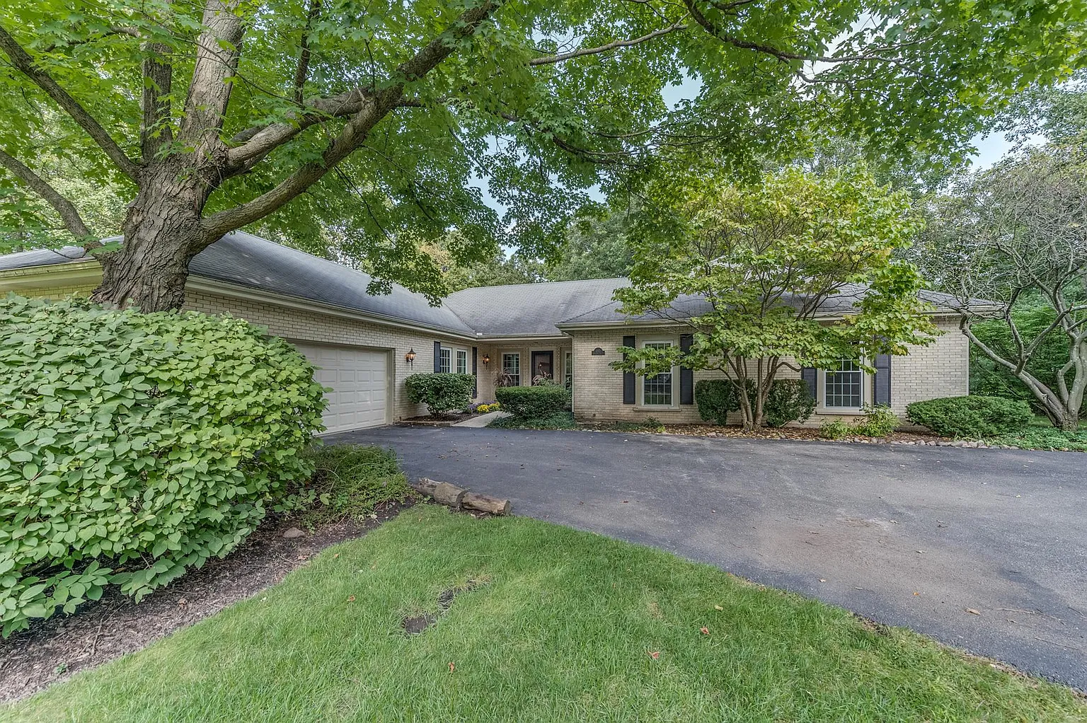 145 Pine Tree Ln photo 1