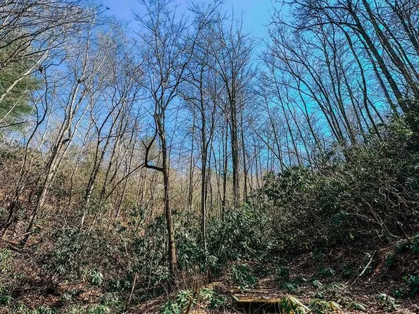 Tbd Woolwine Hwy, Stuart, VA 24171