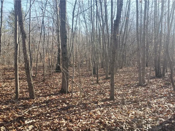 LOT 9 Mountain Creek Rd #9, Green Bay, VA 23942