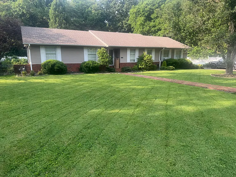 2016 Carol Dr — Photo 15