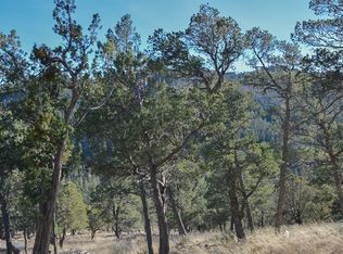 107 Middle Frk, Ruidoso, NM 88345