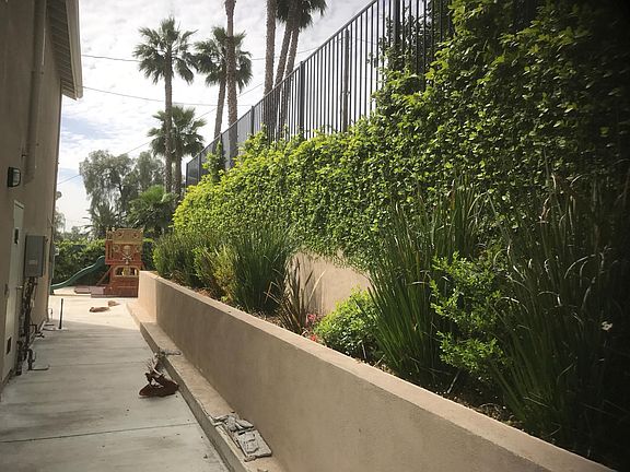 Back Patio
