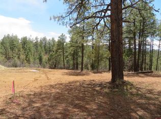 536 Doc Adams Rd, Pagosa Springs, CO 81147