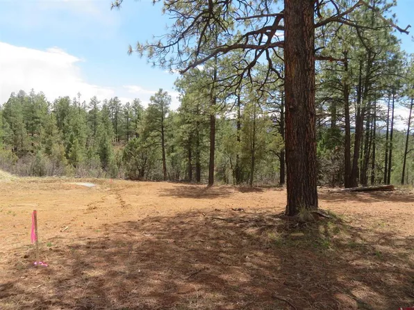 536 Doc Adams Road, Pagosa Springs, CO 81147