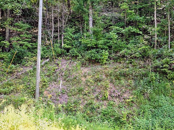 5th image of 24 Sugar Maple Loop Rd
