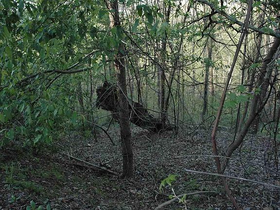 5th image of 2 Hurlbut Way Lot 2B