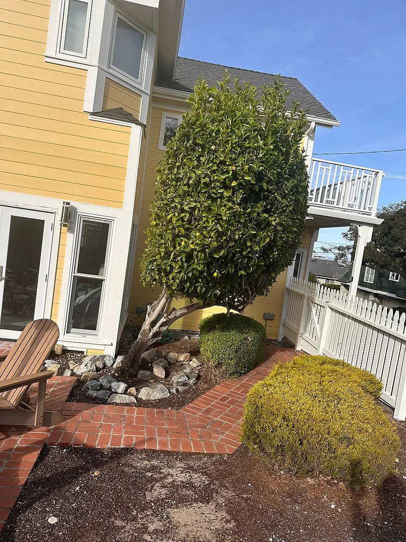 PG Victorian — Photo 3