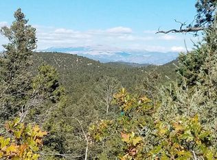 1880 Owens Ln #154, Cotopaxi, CO 81223