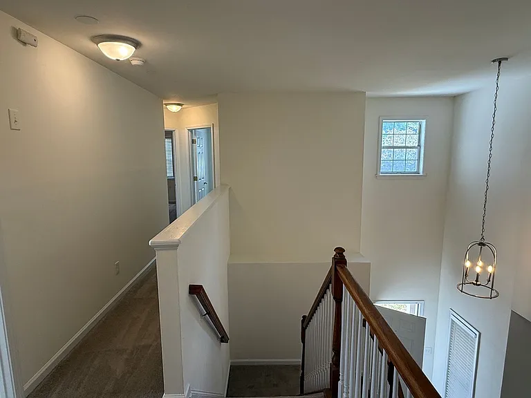 10411 Hellebore Rd — Photo 10