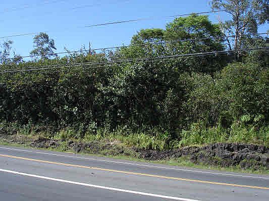 2nd image of Pahoa Rd