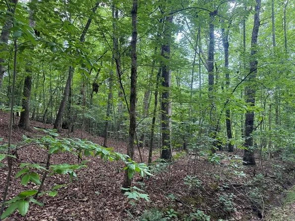 25 McCracken Cv, Hayesville, NC 28904