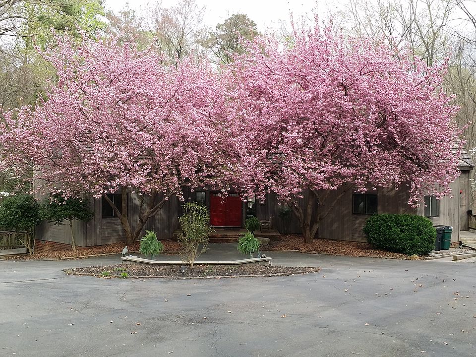 1st image of 503 Kilmarnock Dr