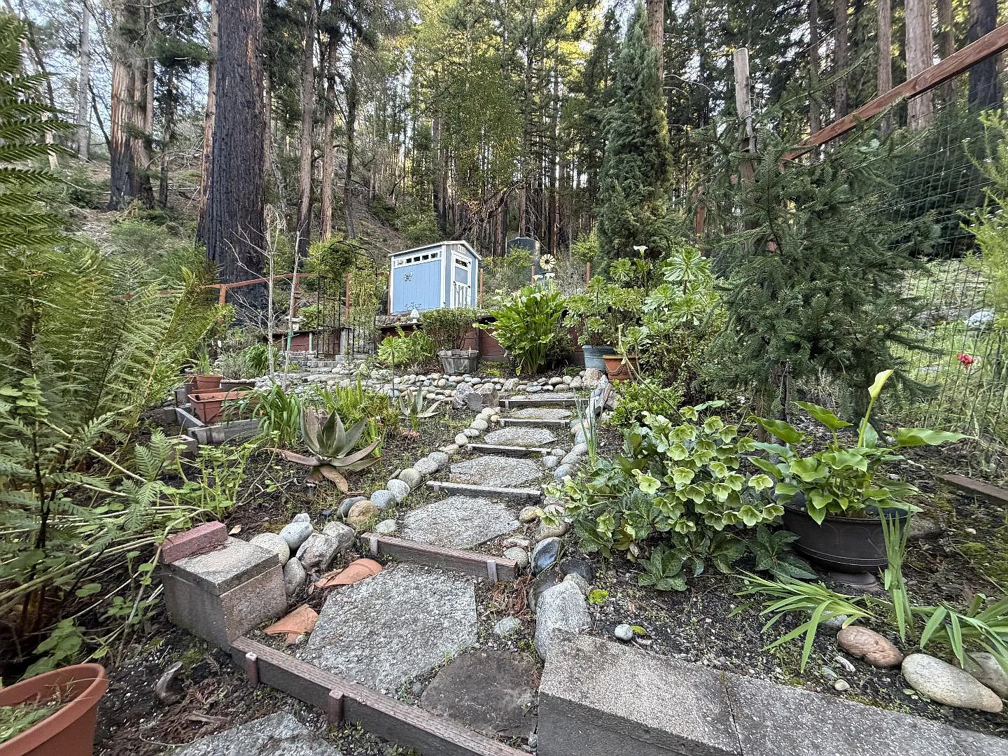 535 Burnside Bnd photo 1