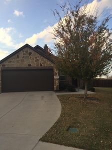 233 Red Hawk Pl, McKinney, TX, 75071