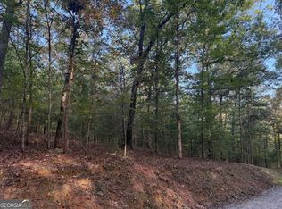 4AC Old Mill Rd, Mineral Bluff, GA 30559