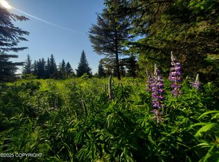 17509 Chefornak St, Ninilchik, AK 99639