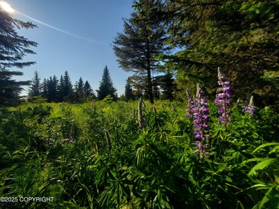 17455 Chefornak St, Ninilchik, AK, 99639