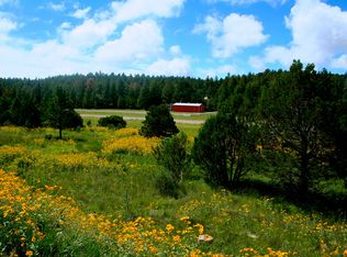 99 Diamond Cir, Timberon, NM 88350