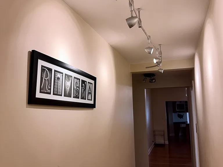 1234 N Dearborn Pkwy #1F — Photo 17