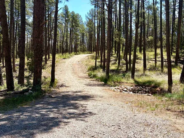 70 Settlers Ln, Timberon, NM 88350