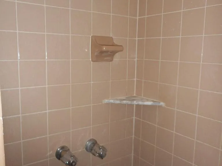Master Shower
