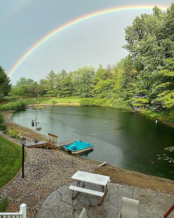 beautiful view over pond