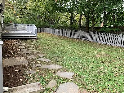 Deck and back yard