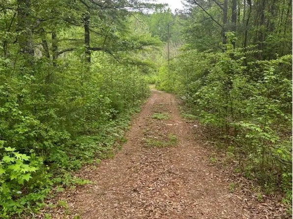 13039 Raintree Cir, Duncanville, AL 35456