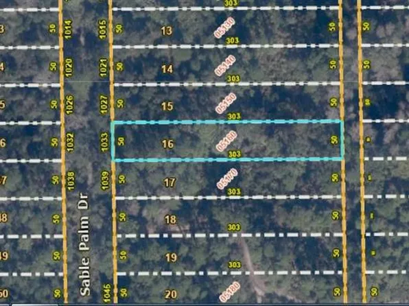 1033 Sable Palm Dr Lot 16, Christmas, FL 32709