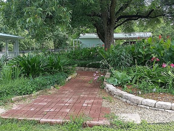 Front walkway and garden