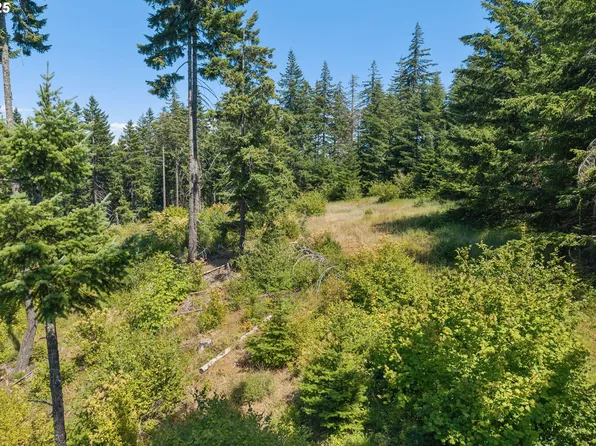 15 Brookside Dr, White Salmon, WA 98672