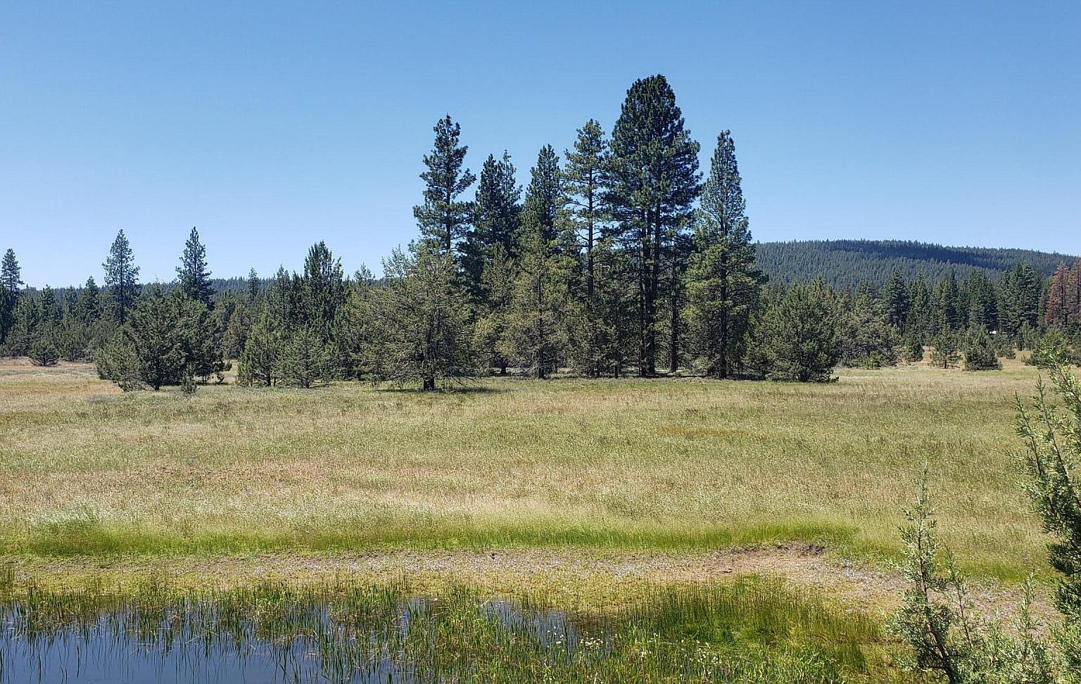 County Road 93, Lookout, CA 96054 Zillow