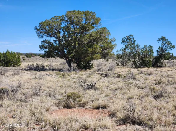 721 S WYANDOTTE Road #243, Williams, AZ 86046