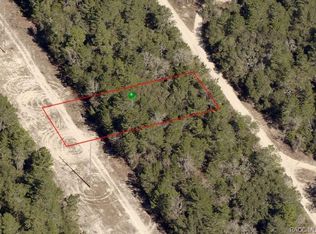 313 Webhill Ave, Inverness, FL 34452