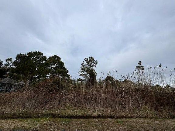 3rd image of LOT 288 N Hibiscus Dr