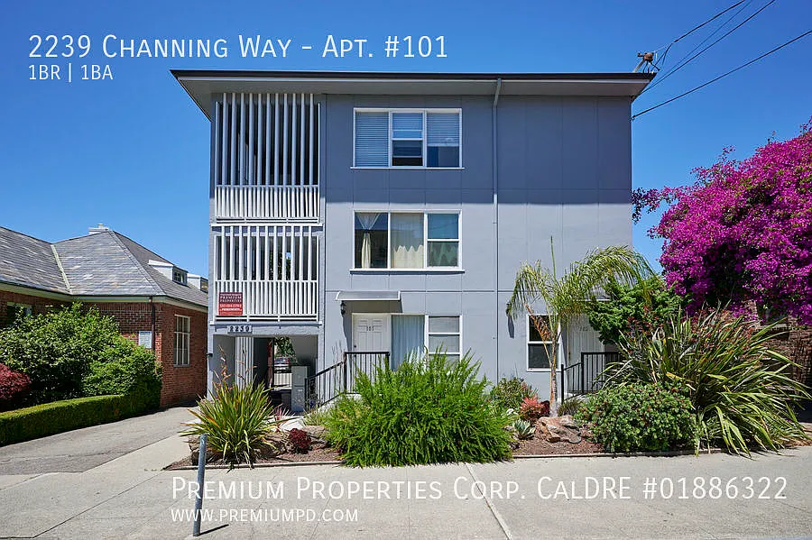1 bed, 442 sqft, $1,600 — Photo 3