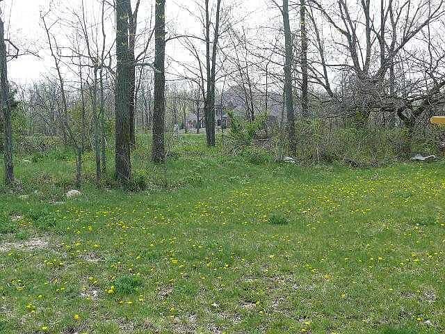 2nd image of 4965 Nightshade Ln