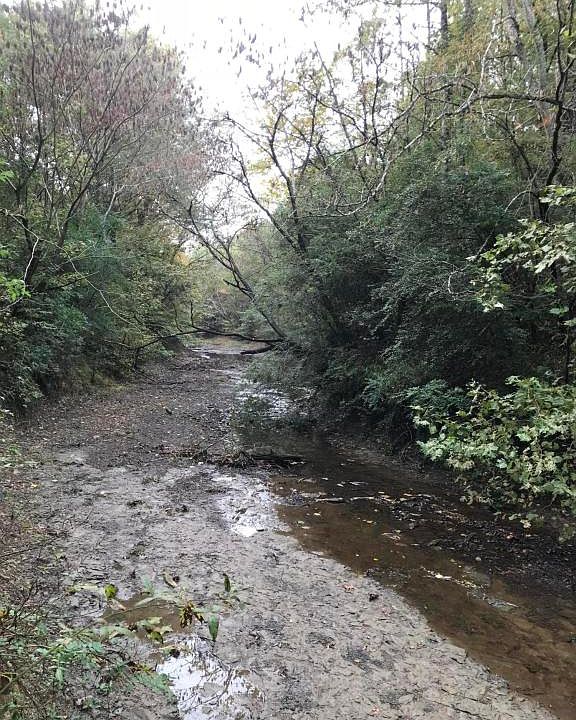 2nd image of Self Creek Rd