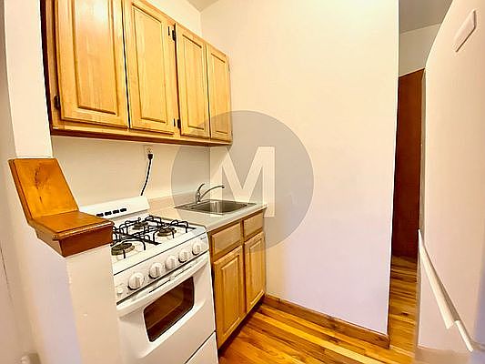 5th image of 157 E 99th St APT 19
