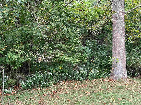 2nd image of Spring Dr