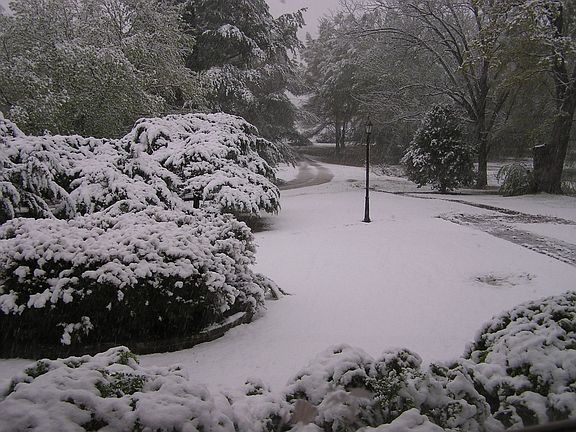 view from upstairs bedroom