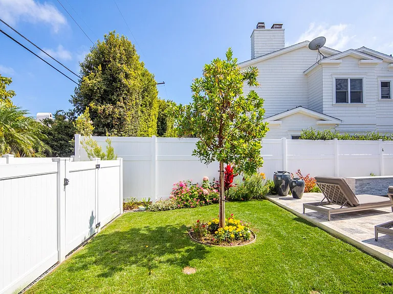Backyard - grassy area