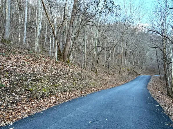 14 Horton Ford Rd Lot 0, Sneedville, TN 37869