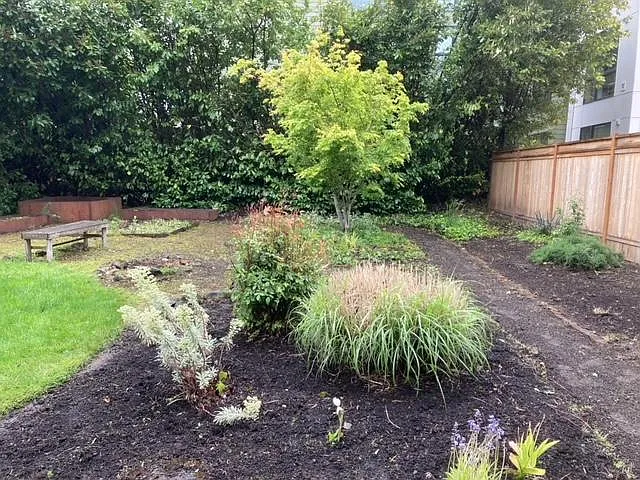spacious backyard (landlord pays for regular upkeep / landscaping)