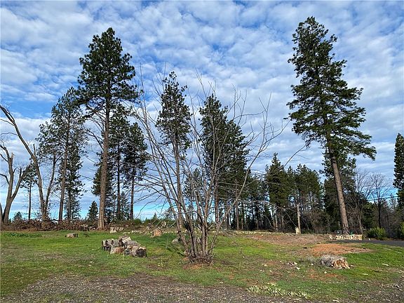 4th image of 1642 Bille Rd