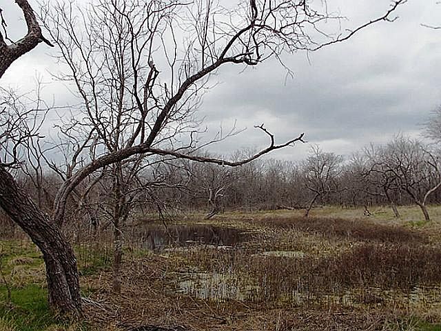 1st image of 15926 SW County Road 2383